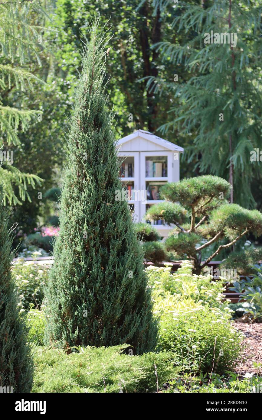 White Bookcase in a Park Foto Stock