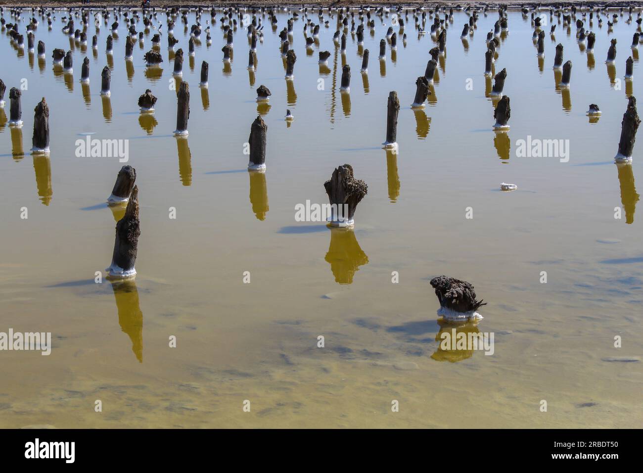 Primo piano sui pilastri - i resti delle piattaforme su cui è stato essiccato il sale. Lago Baskunchak, immagine di sfondo Foto Stock