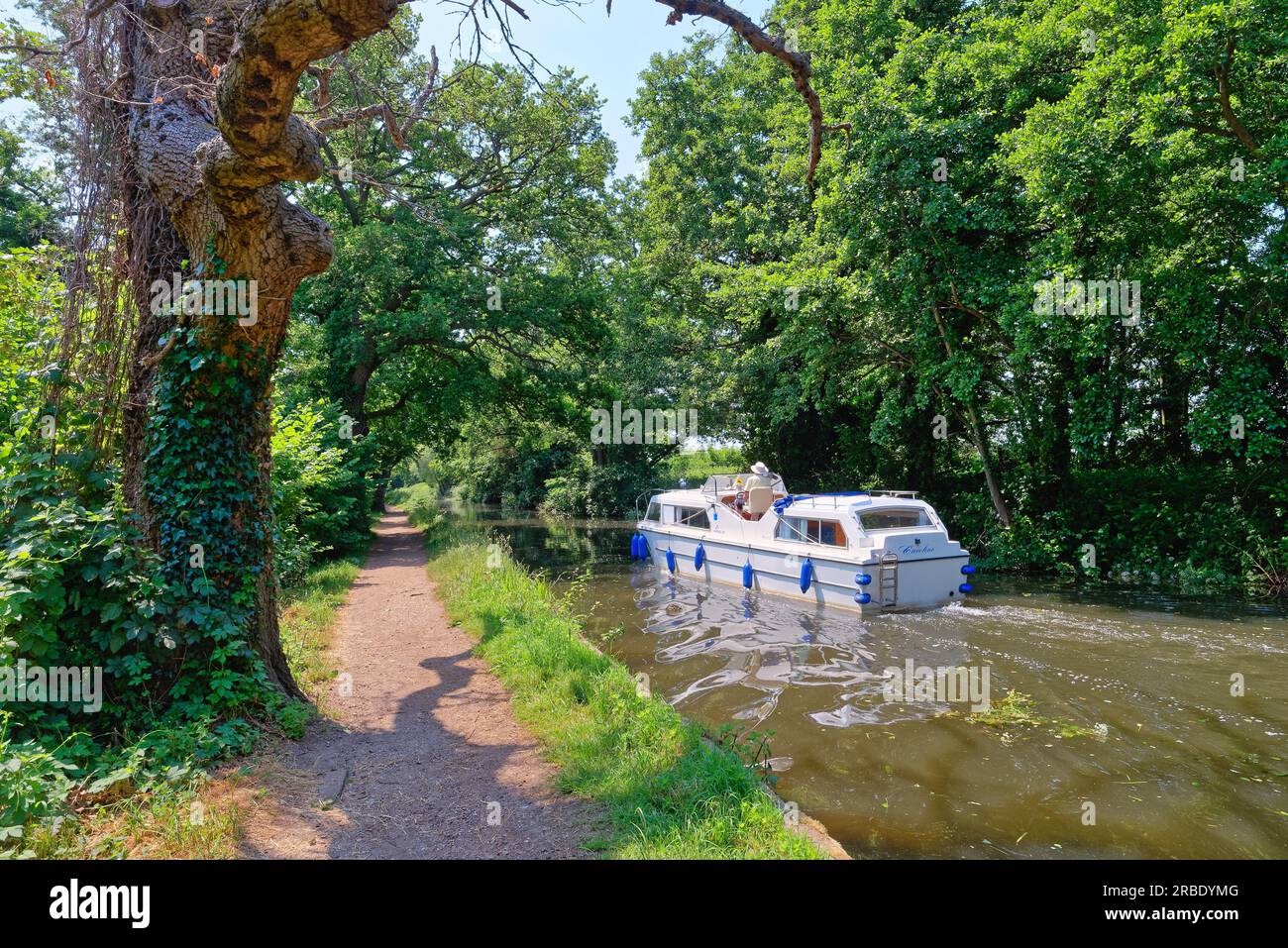 Una barca privata per il tempo libero che naviga lungo il canale di navigazione del fiume Wey in una soleggiata giornata estiva a Pyrford, Surrey, Inghilterra, Regno Unito Foto Stock