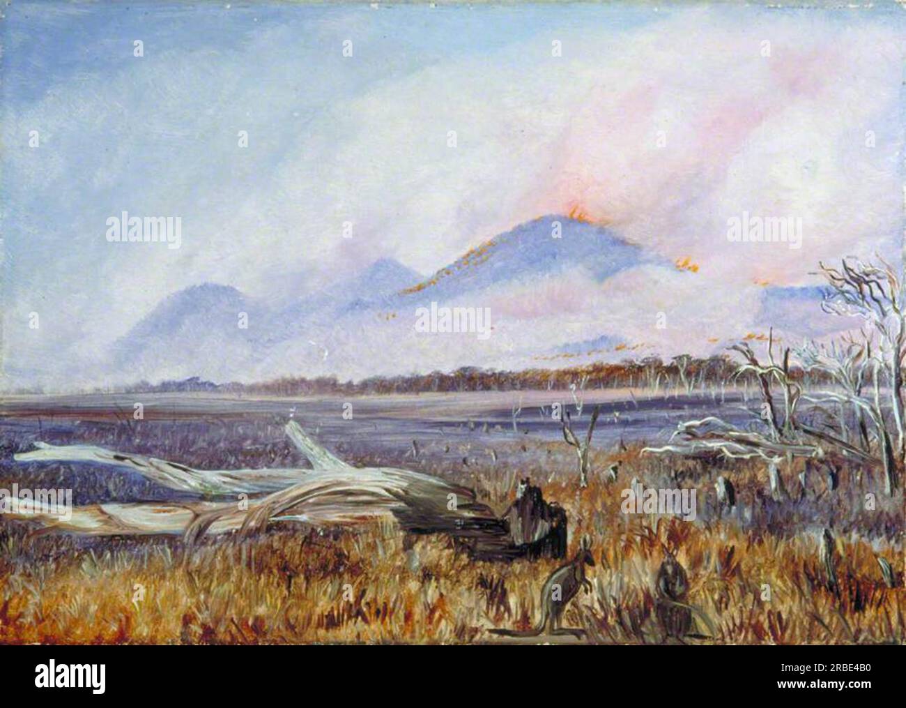 A Bush Fire at Sunset, Queensland 1880 di Marianne North Foto Stock