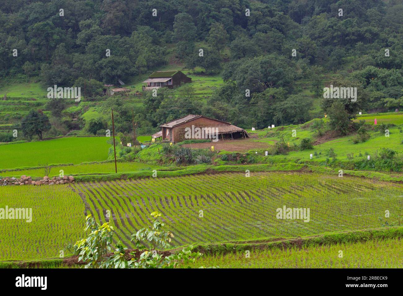 Bhimashnakar, Maharashtra Foto Stock