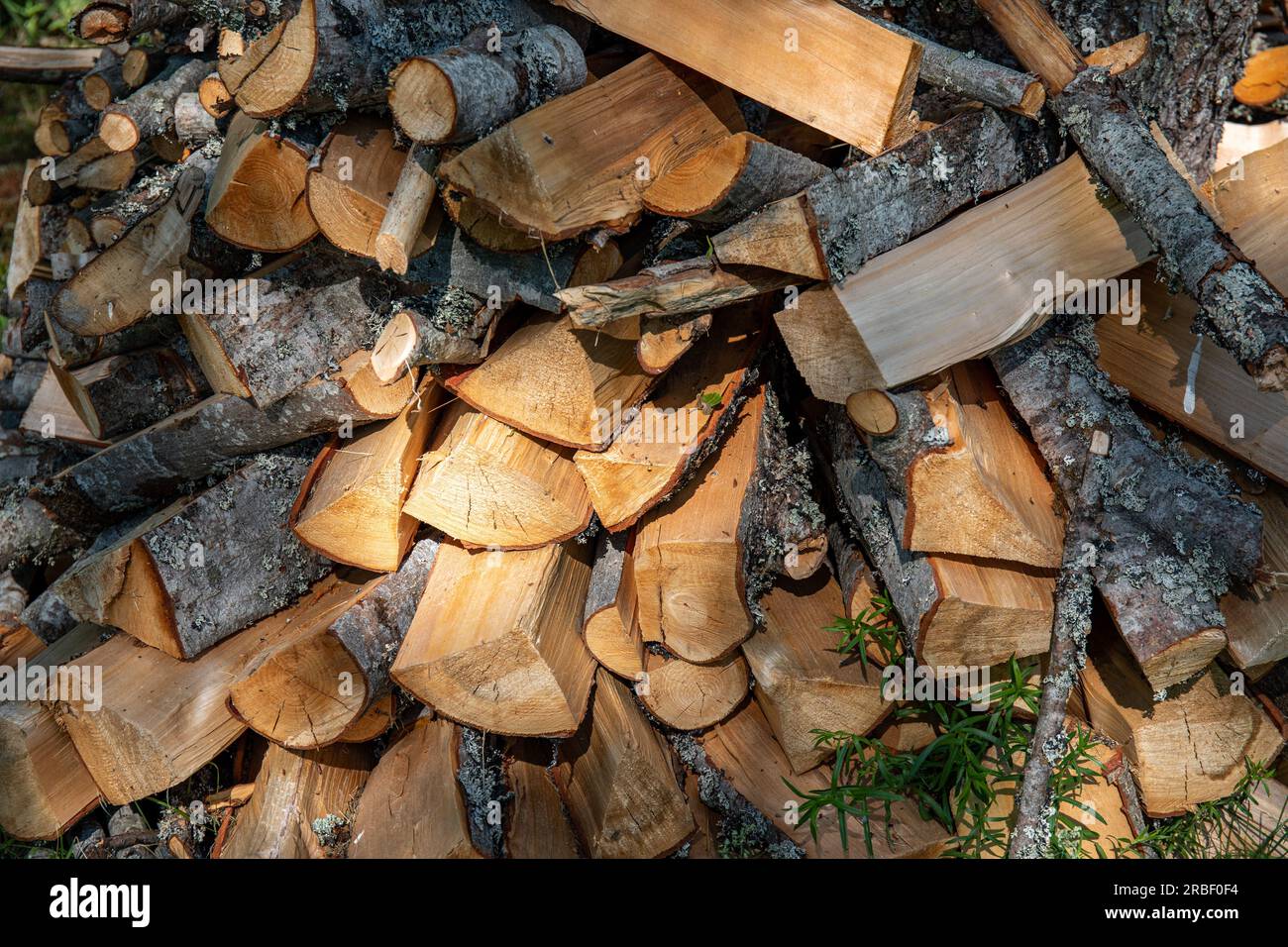 Pila di legna da ardere, principalmente betulla Foto Stock