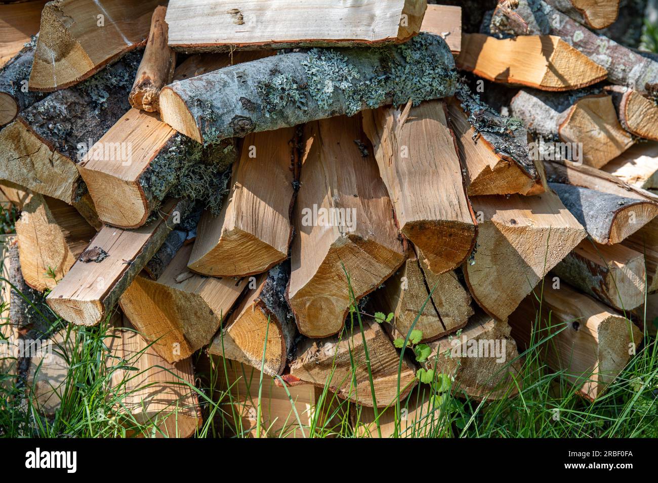 Pila di legna da ardere, principalmente betulla, a terra Foto Stock