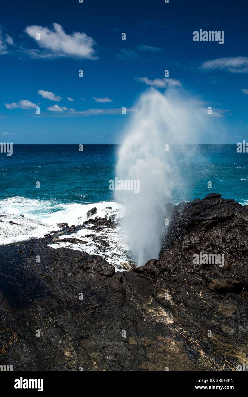 Foro di Halona che soffiava acqua dall'oceano Pacifico Foto Stock