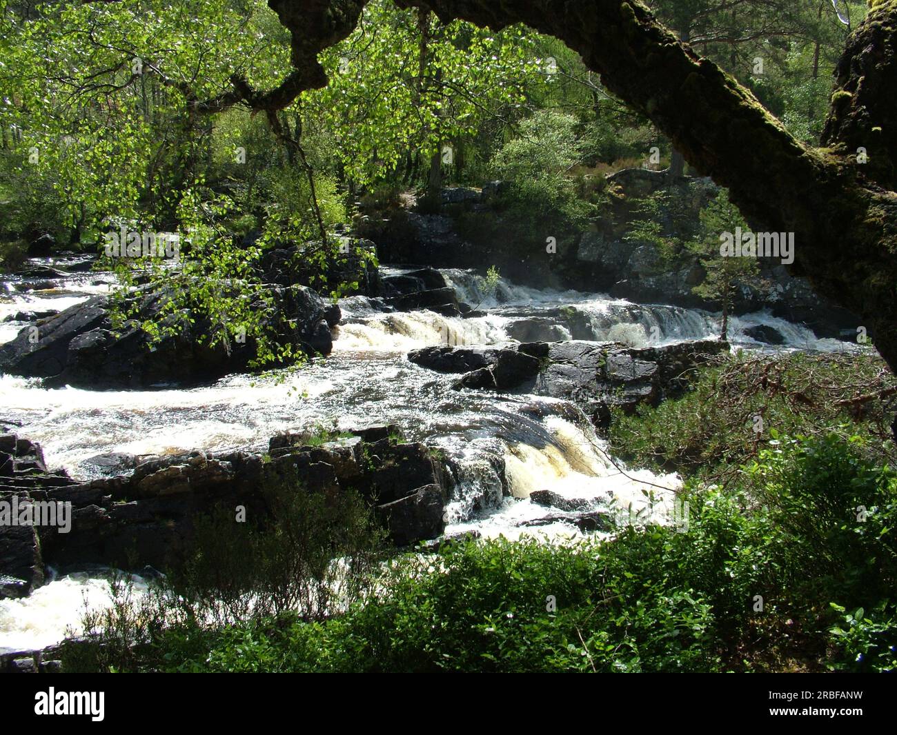 Le Rogie Falls sono una serie di cascate sulle Black Water, un fiume a Easter Ross nelle Highlands scozzesi. Foto Stock