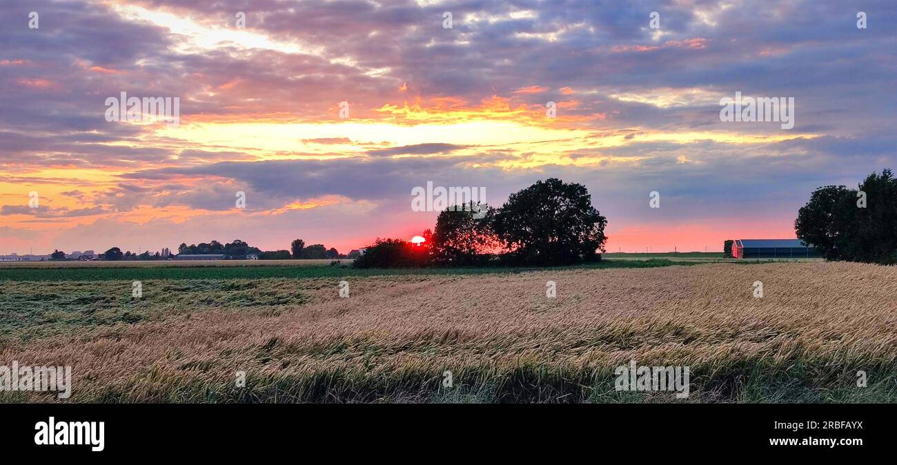 Panorama panoramico di nuvole colorate sui campi di grano nella campagna olandese. Foto Stock