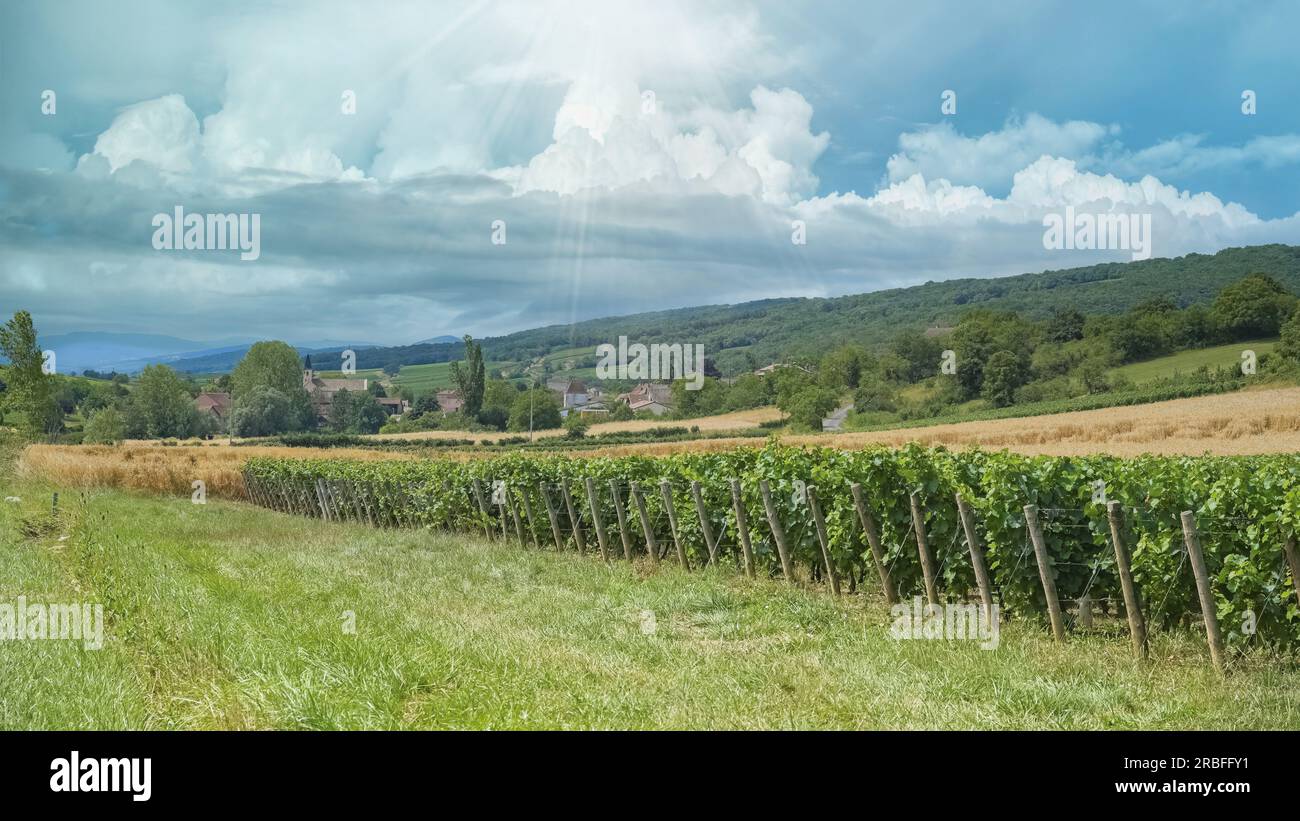 Bella campagna in Francia, in Borgogna, con un tipico villaggio Foto Stock