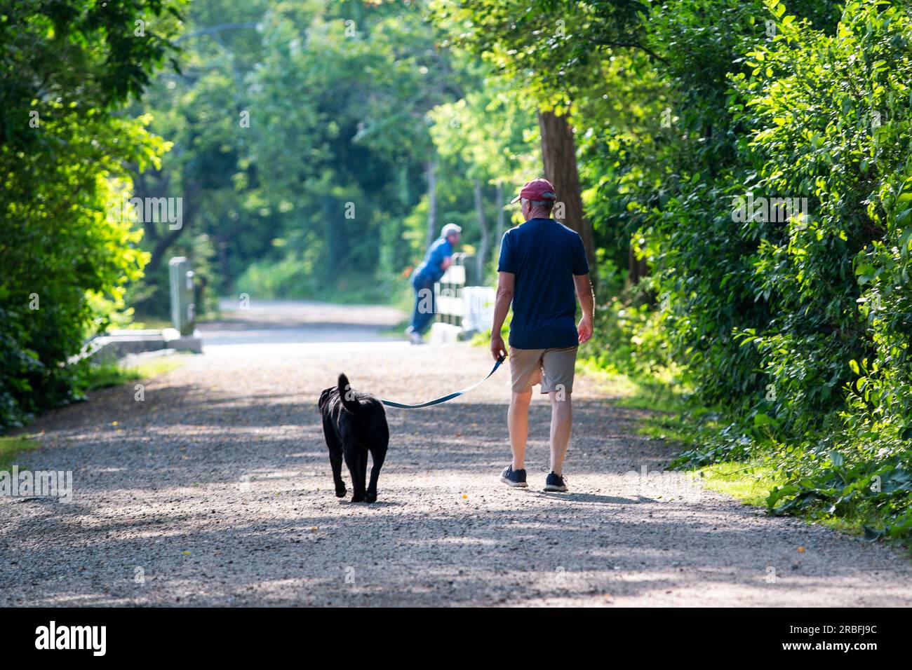 Vista posteriore di un uomo che cammina con il suo cane sul sentiero principale intorno allo stagno Southards nel Babylon Village New York. Foto Stock