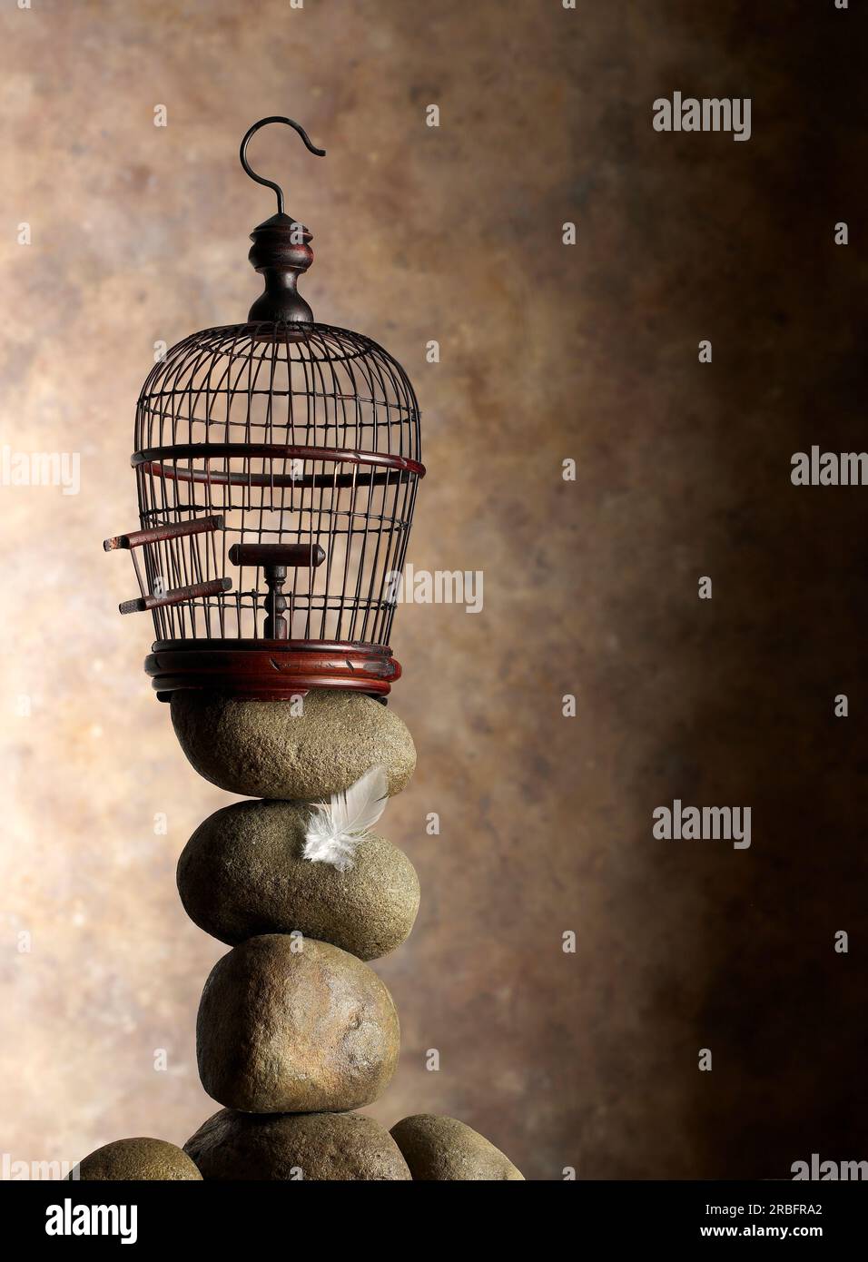 gabbia per uccelli Foto Stock