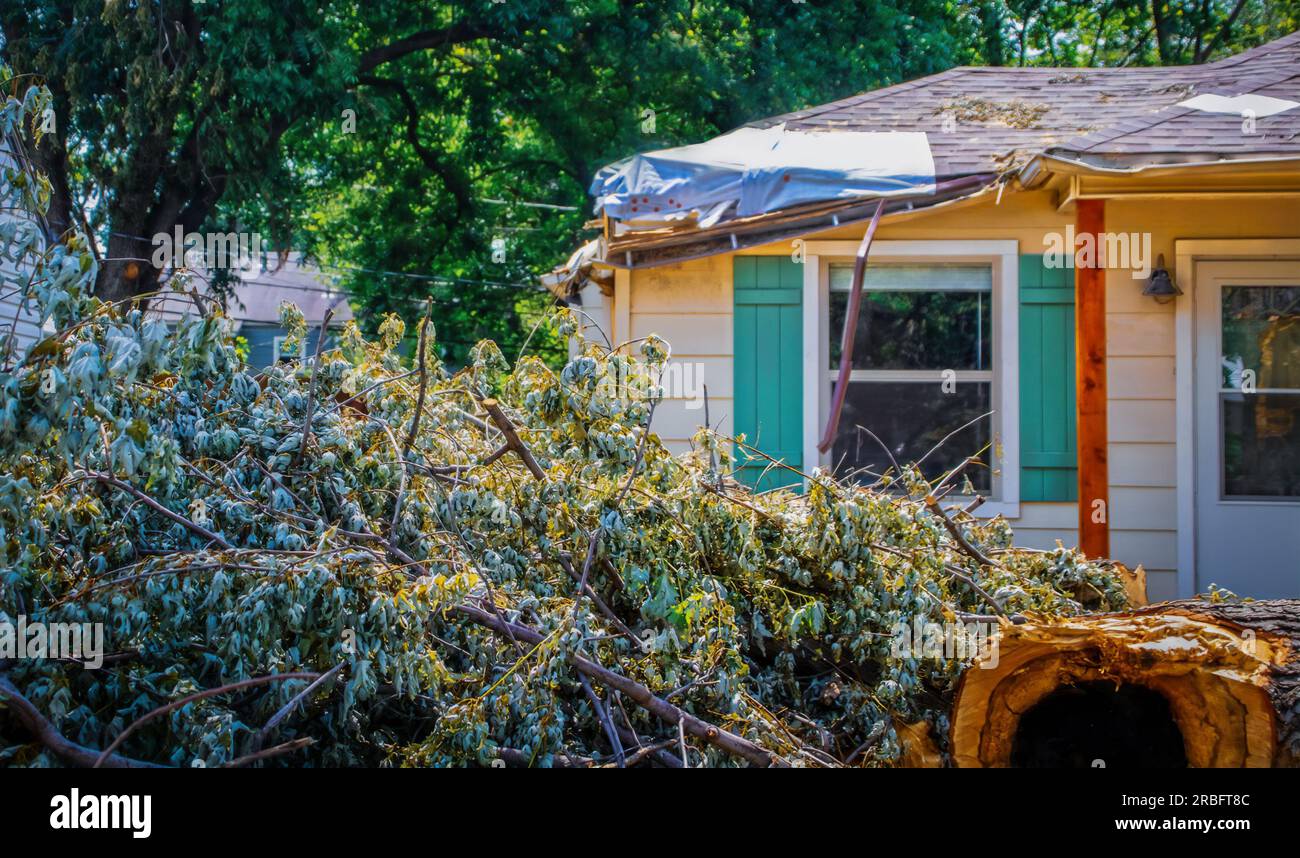 Casa con tetto danneggiato con copertura in plastica e albero che è caduto su di esso accumulato in primo piano - tempesta dopo Foto Stock