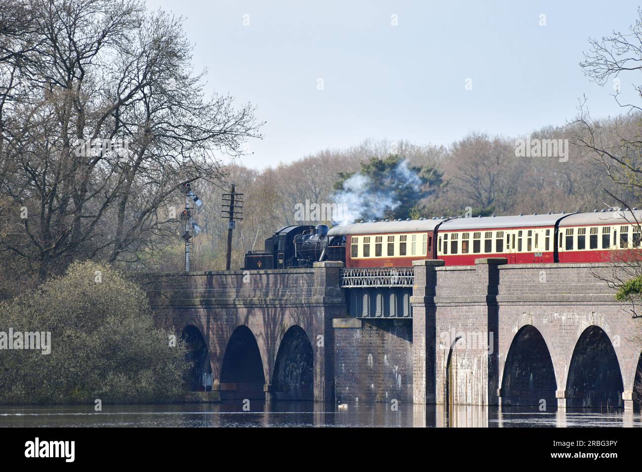 Treno sul viadotto di Swithland Foto Stock