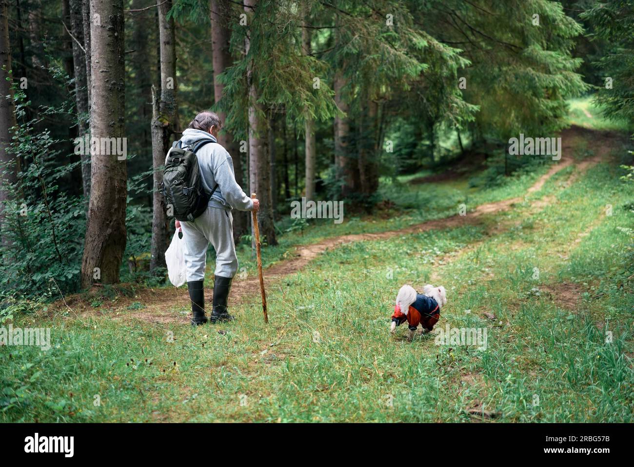 Vista posteriore dell'uomo con il suo cane che cammina nella foresta. Vacanza, concetto di viaggio Foto Stock