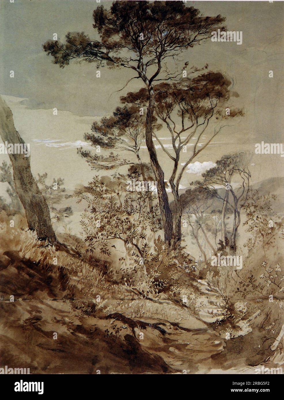 Stone Pines a Sestri 1845 di John Ruskin Foto Stock