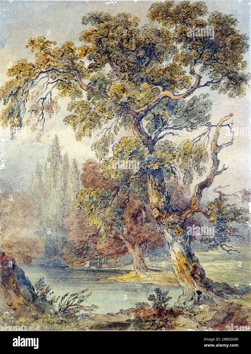 Trees and Pond 1832 di John Ruskin Foto Stock