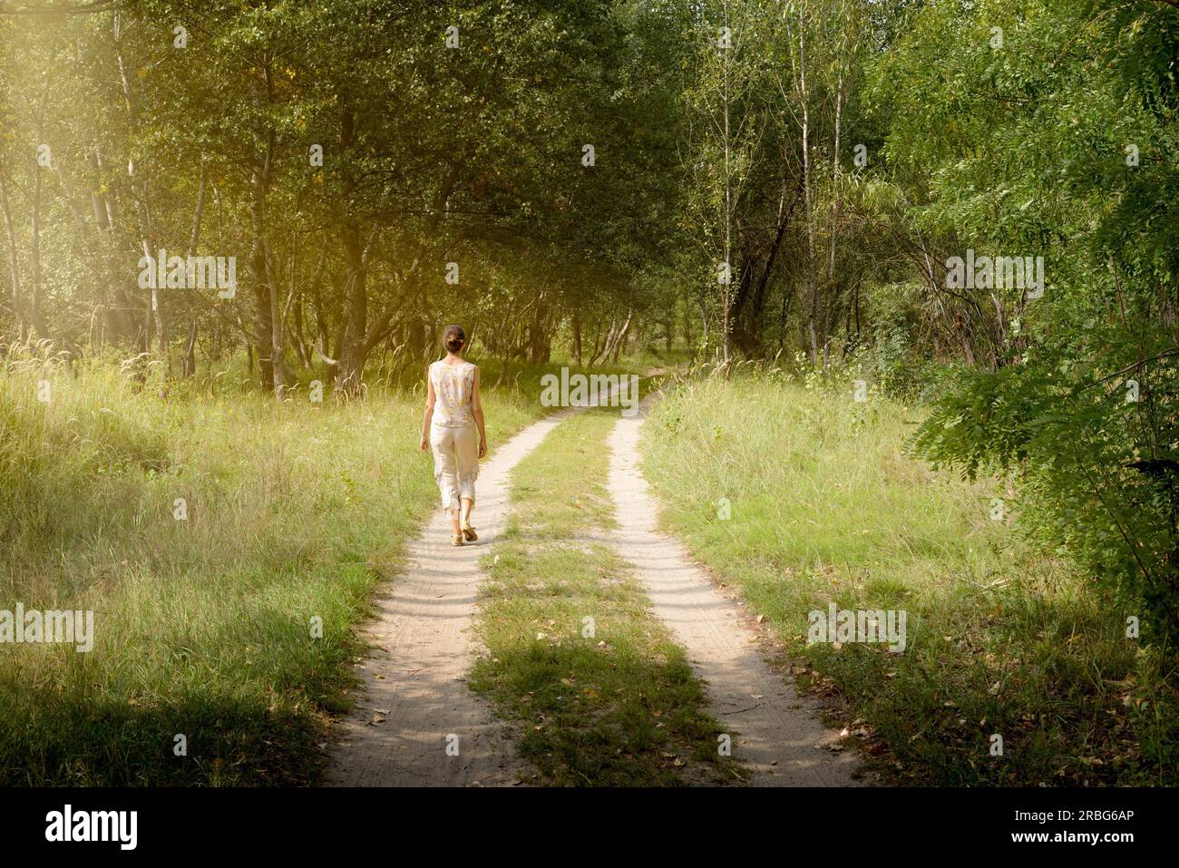 Una donna adulta è a piedi nella foresta vicino alla città di Kiev in Ucraina. I raggi del sole passano attraverso i rami degli alberi creando un atmosfera magica Foto Stock