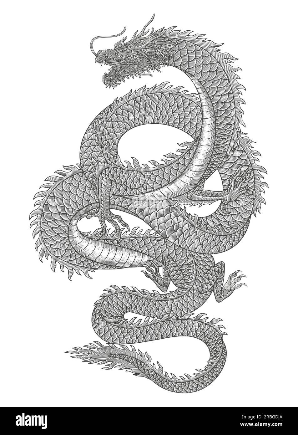 Illustrazione in stile disegno con incisione vintage del drago giapponese Illustrazione Vettoriale