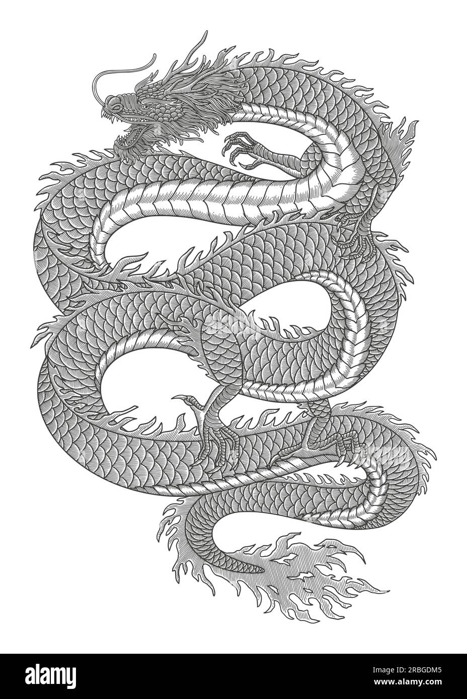 Illustrazione in stile disegno con incisione vintage del drago giapponese Illustrazione Vettoriale