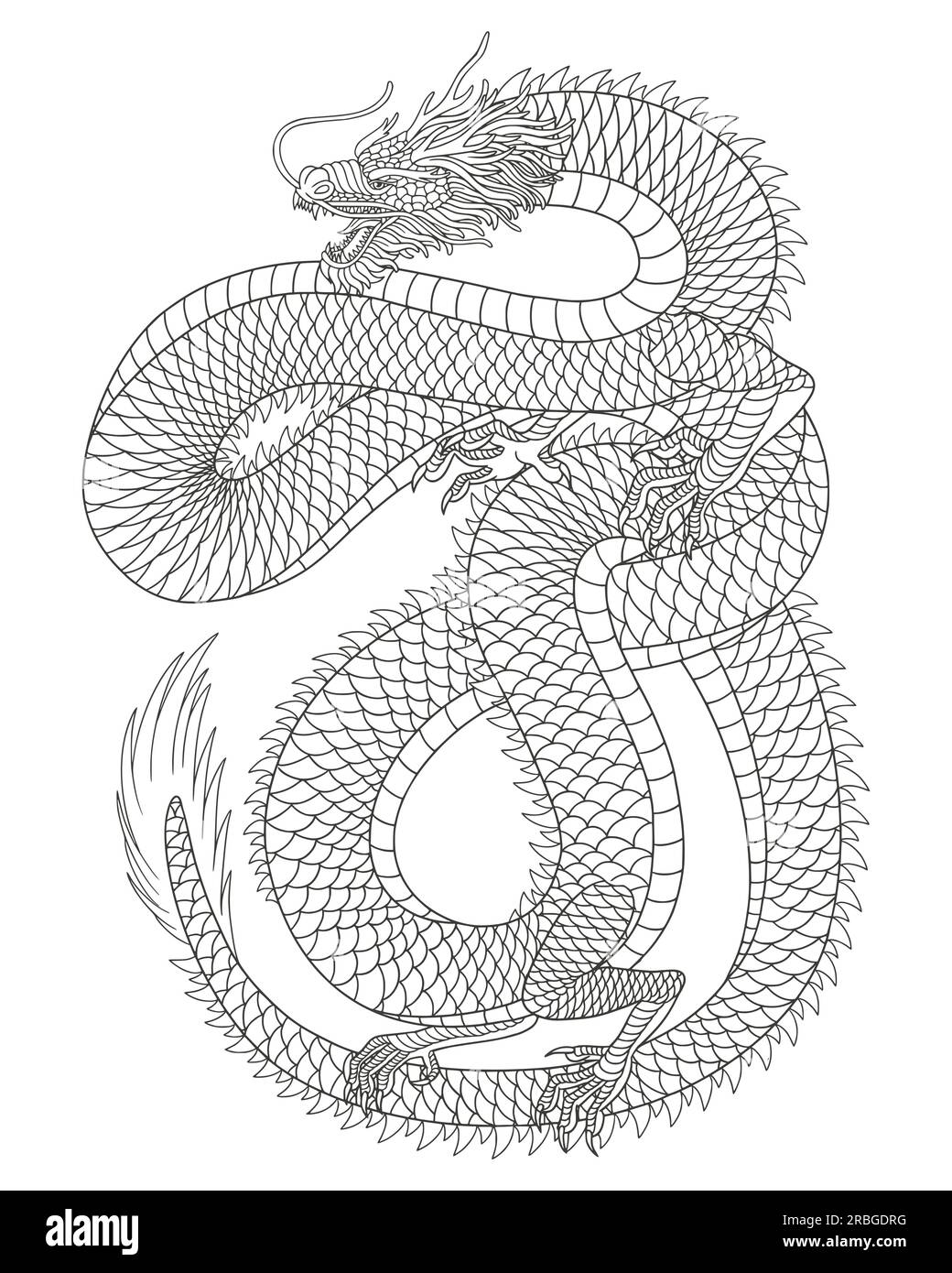 Illustrazione in stile disegno con incisione vintage del drago giapponese Illustrazione Vettoriale