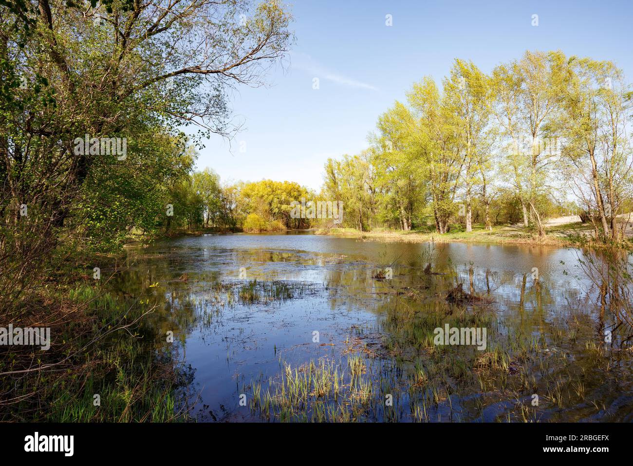 Bella e tranquilla giornata primaverile vicino al fiume Dnieper. Giovani foglie verdi crescono sugli alberi sotto un sole tiepido. Acqua blu e nuvole morbide dentro Foto Stock