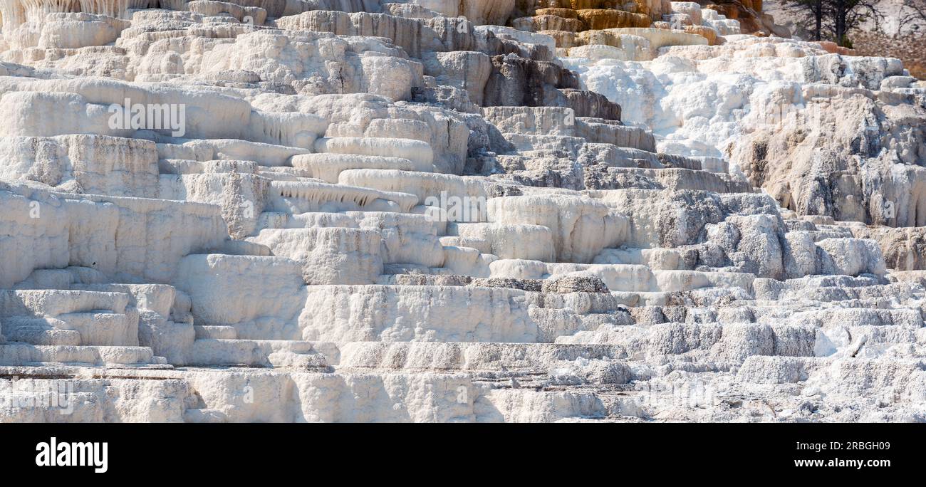 Mammoth Hot Springs panorama, parco nazionale di Yellowstone, Wyoming, USA. Foto Stock