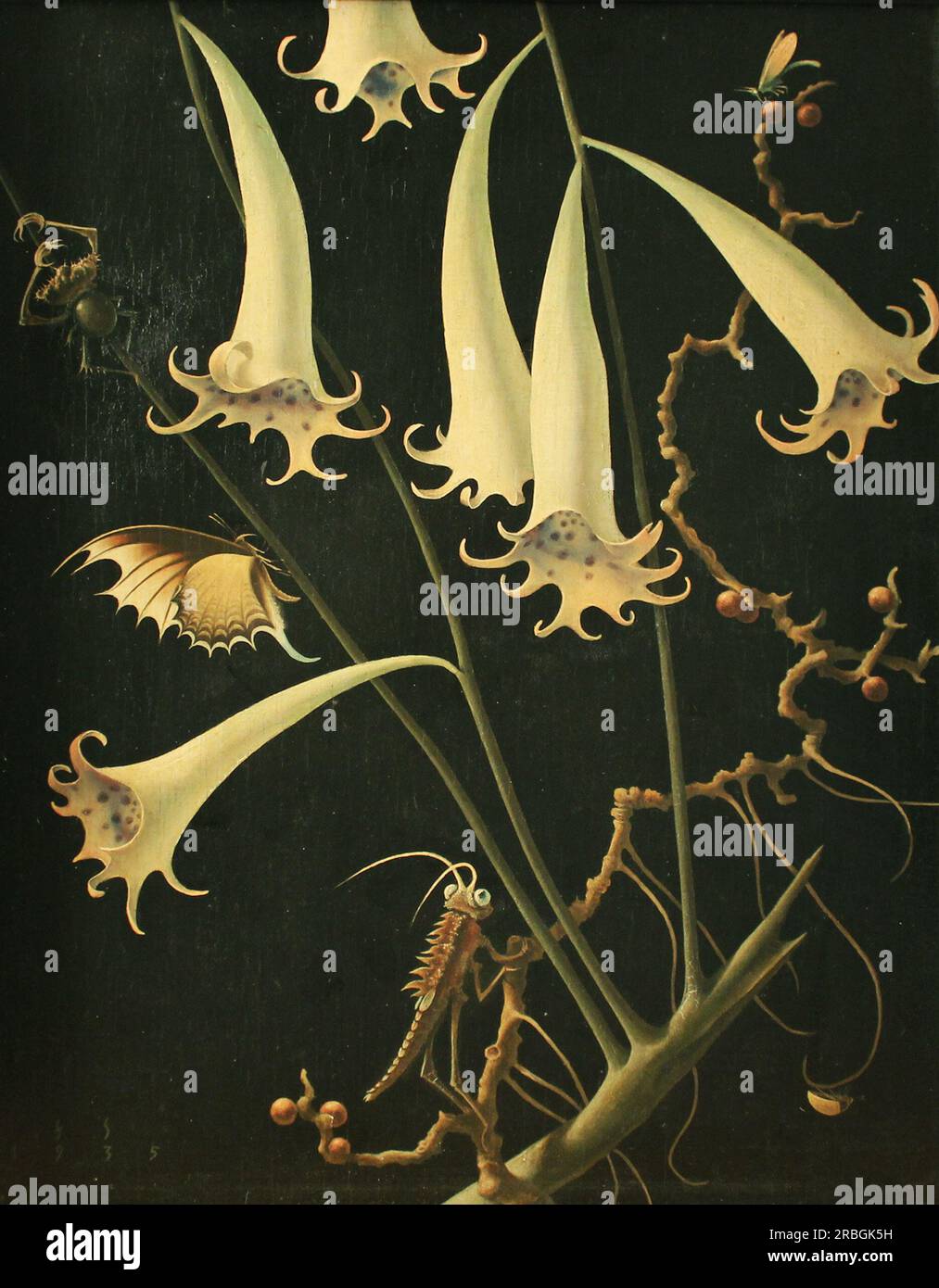 Blumen und Insekte 1939 di Franz Sedlacek Foto Stock