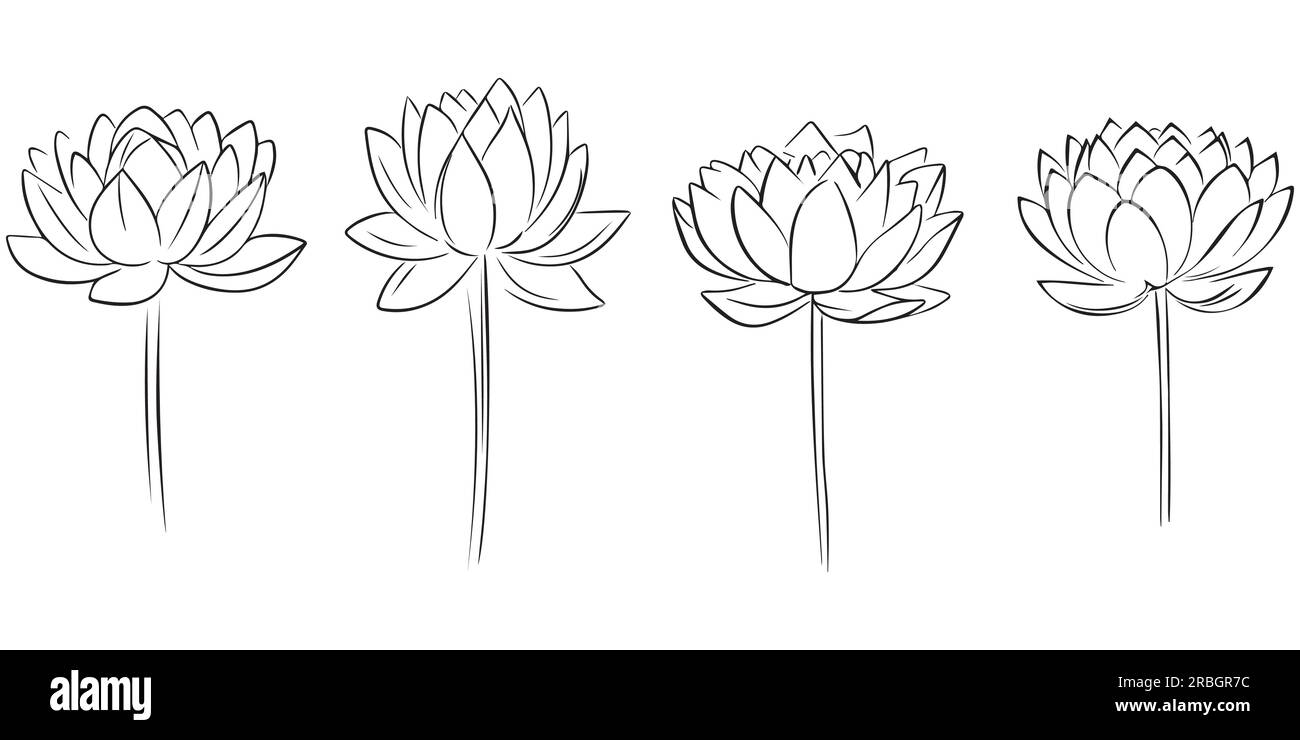 Illustrazione vettoriale con silhouette a fiori di Lily Illustrazione Vettoriale