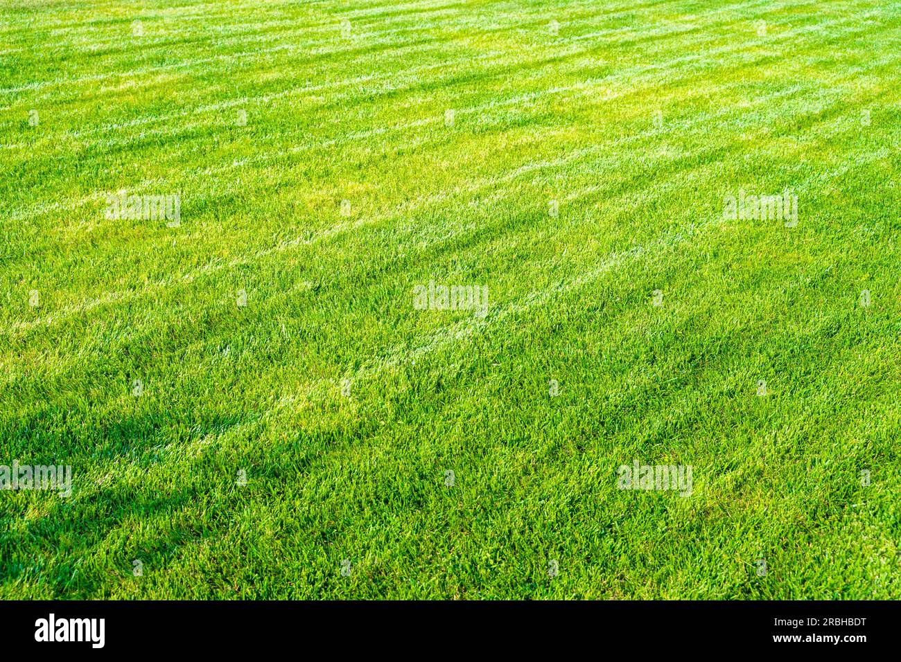 Prato tagliato saturo di verde in una calda giornata estiva. Prato ben curato in campagna Foto Stock