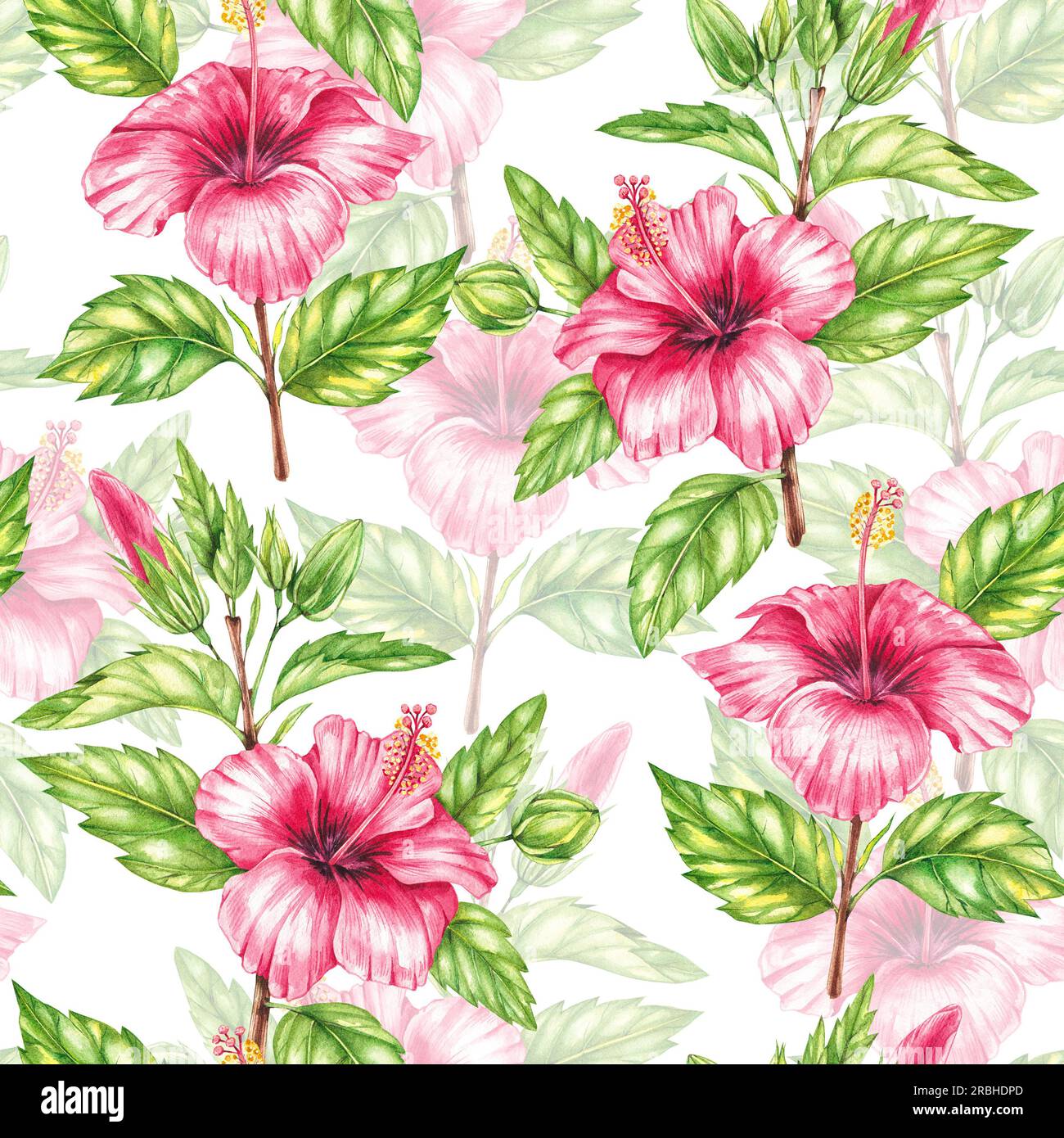 Pattern di fiori rossi di ibisco su sfondo bianco. Motivi floreali senza cuciture, disegnati a mano con elementi ad acquerello per la progettazione di tessuti, tessuti, Foto Stock