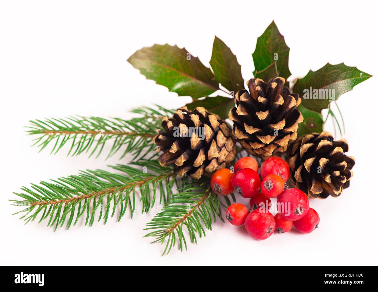 Natale bordo stagionale di agrifoglio, mistletoe, rametti con coni di pino su sfondo bianco Foto Stock