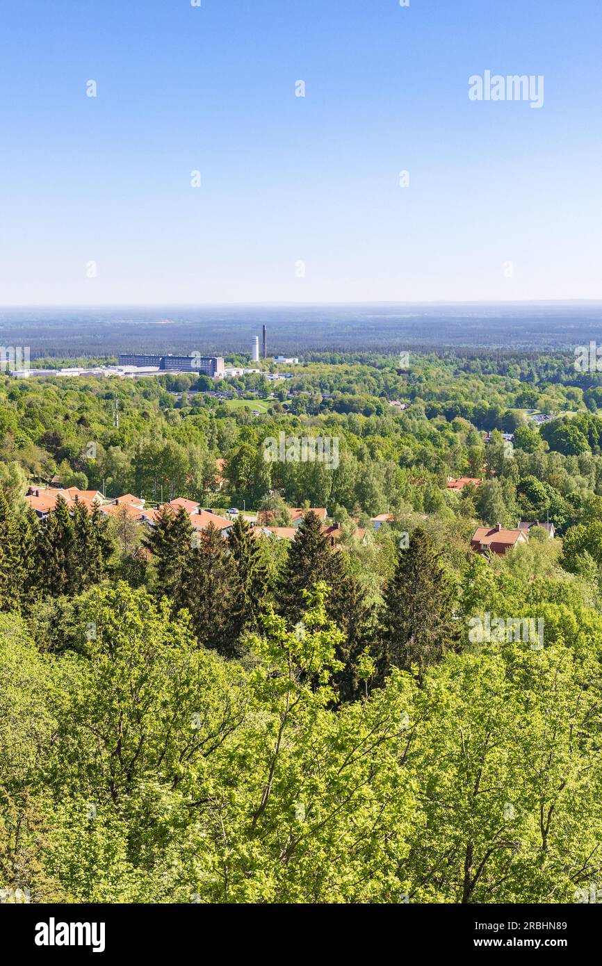 Lussureggianti alberi verdi e una splendida vista all'orizzonte Foto Stock