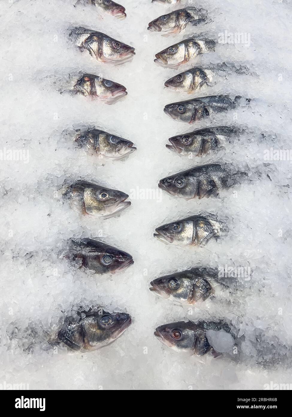 Pesce fresco di trota nel ghiaccio nel supermercato, vista dall'alto Foto Stock