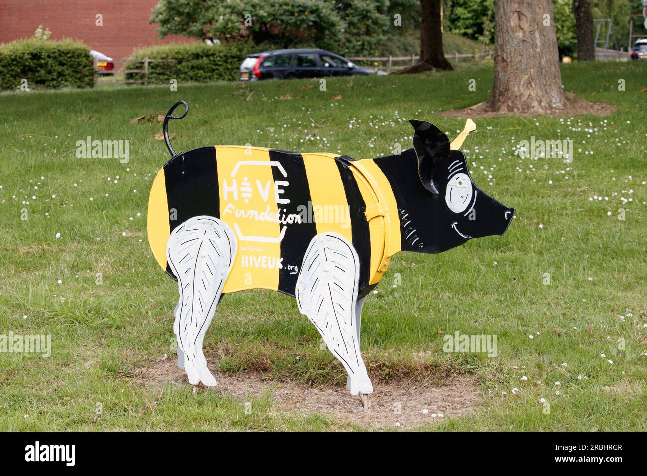 Le famose sculture del maiale Tamworth situate intorno alla città sono state rinnovate nel 2021 come parte di un progetto artistico che coinvolge l'artista Luke Perry. Nella foto è raffigurata la statua del maiale Hive situata sulla B5000 con l'incrocio della Pennine Way. Foto Stock