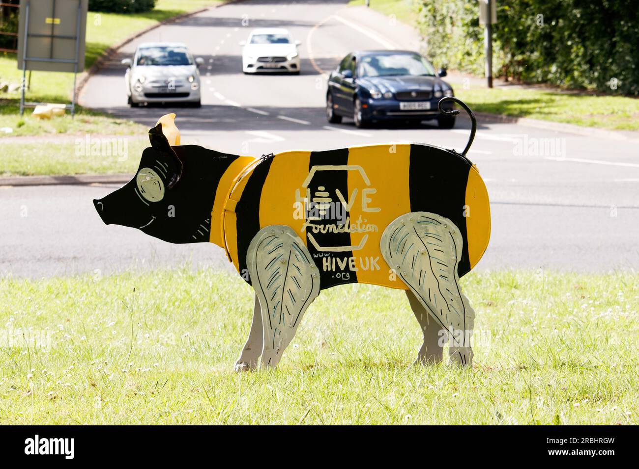 Le famose sculture del maiale Tamworth situate intorno alla città sono state rinnovate nel 2021 come parte di un progetto artistico che coinvolge l'artista Luke Perry. Nella foto è raffigurata la statua del maiale Hive situata sulla B5000 con l'incrocio della Pennine Way. Foto Stock