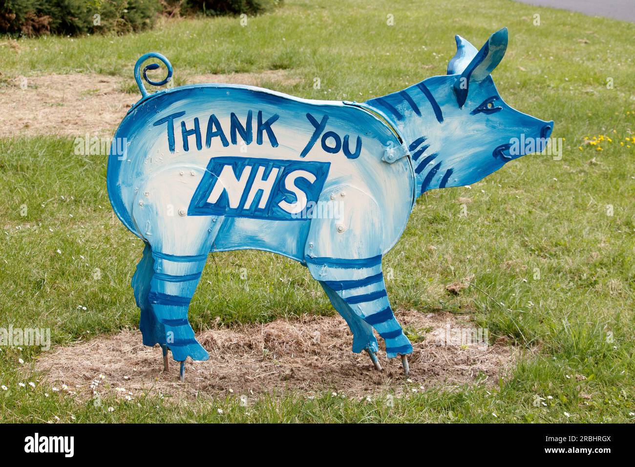 Le famose sculture del maiale Tamworth situate intorno alla città sono state rinnovate nel 2021 come parte di un progetto artistico che coinvolge l'artista Luke Perry. Nella foto, la statua del maiale situata sull'isola B5000 con Silver Link Road. Foto Stock