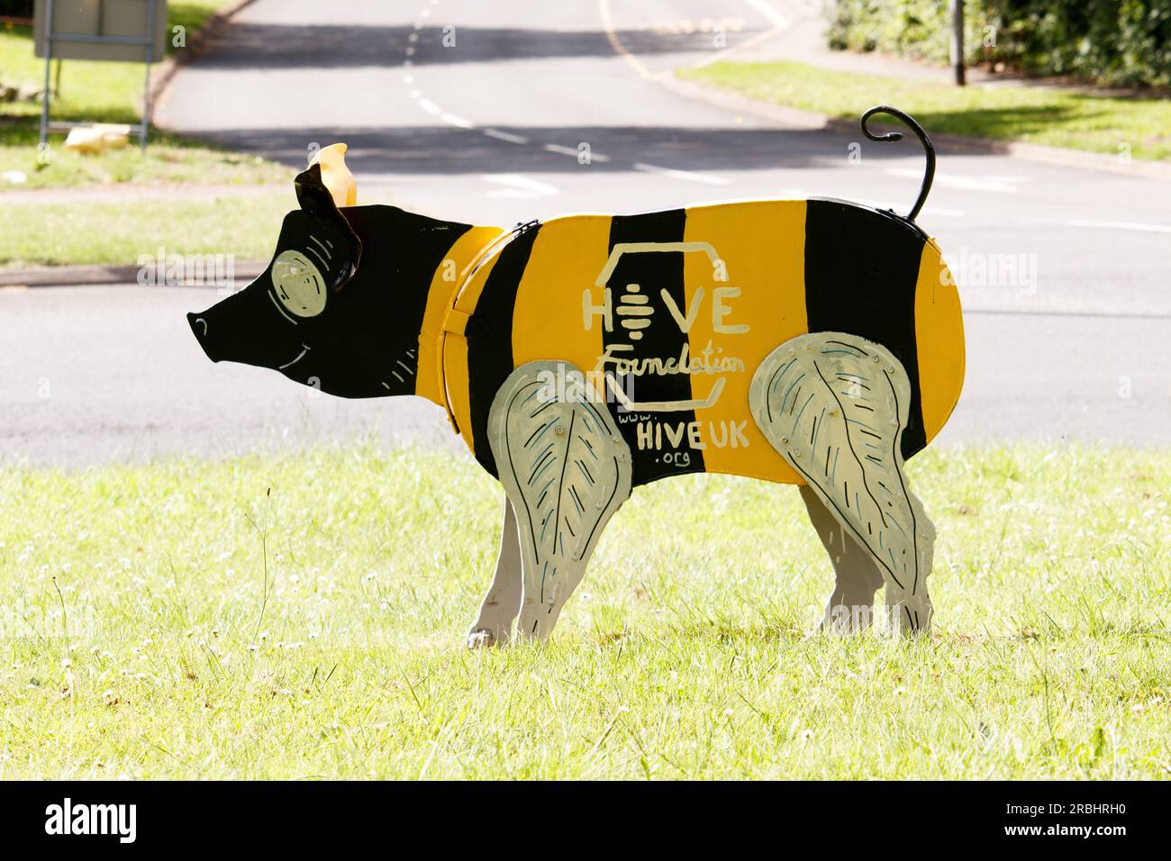 Le famose sculture del maiale Tamworth situate intorno alla città sono state rinnovate nel 2021 come parte di un progetto artistico che coinvolge l'artista Luke Perry. Nella foto è raffigurata la statua del maiale Hive situata sulla B5000 con l'incrocio della Pennine Way. Foto Stock