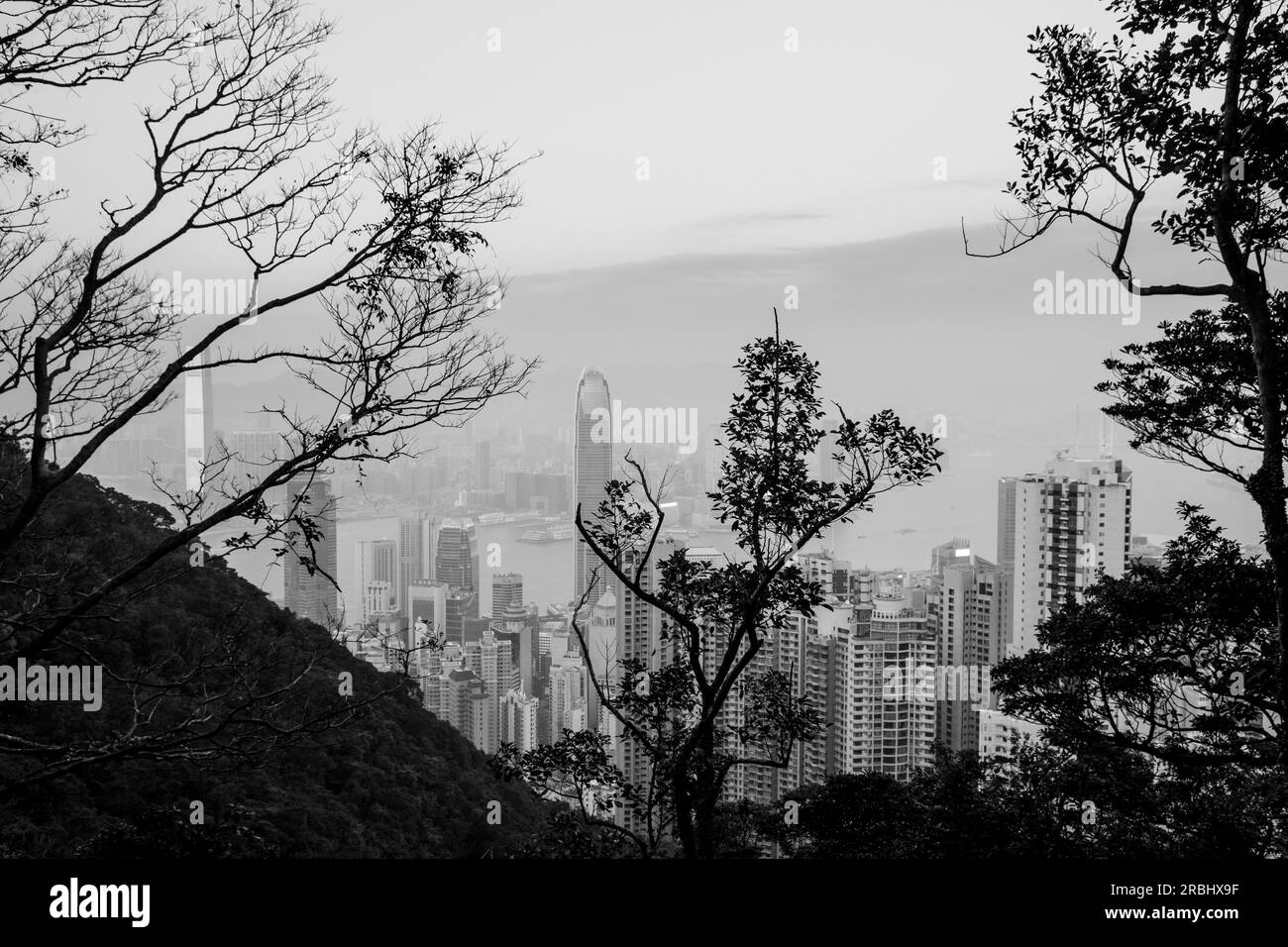 Incredibili vedute dello skyline della città dal Lugard Road Lookout sul Victoria Peak, Hong Kong in una serata estiva mentre l'ultima luce del giorno colpisce i blocchi della torre. Foto Stock