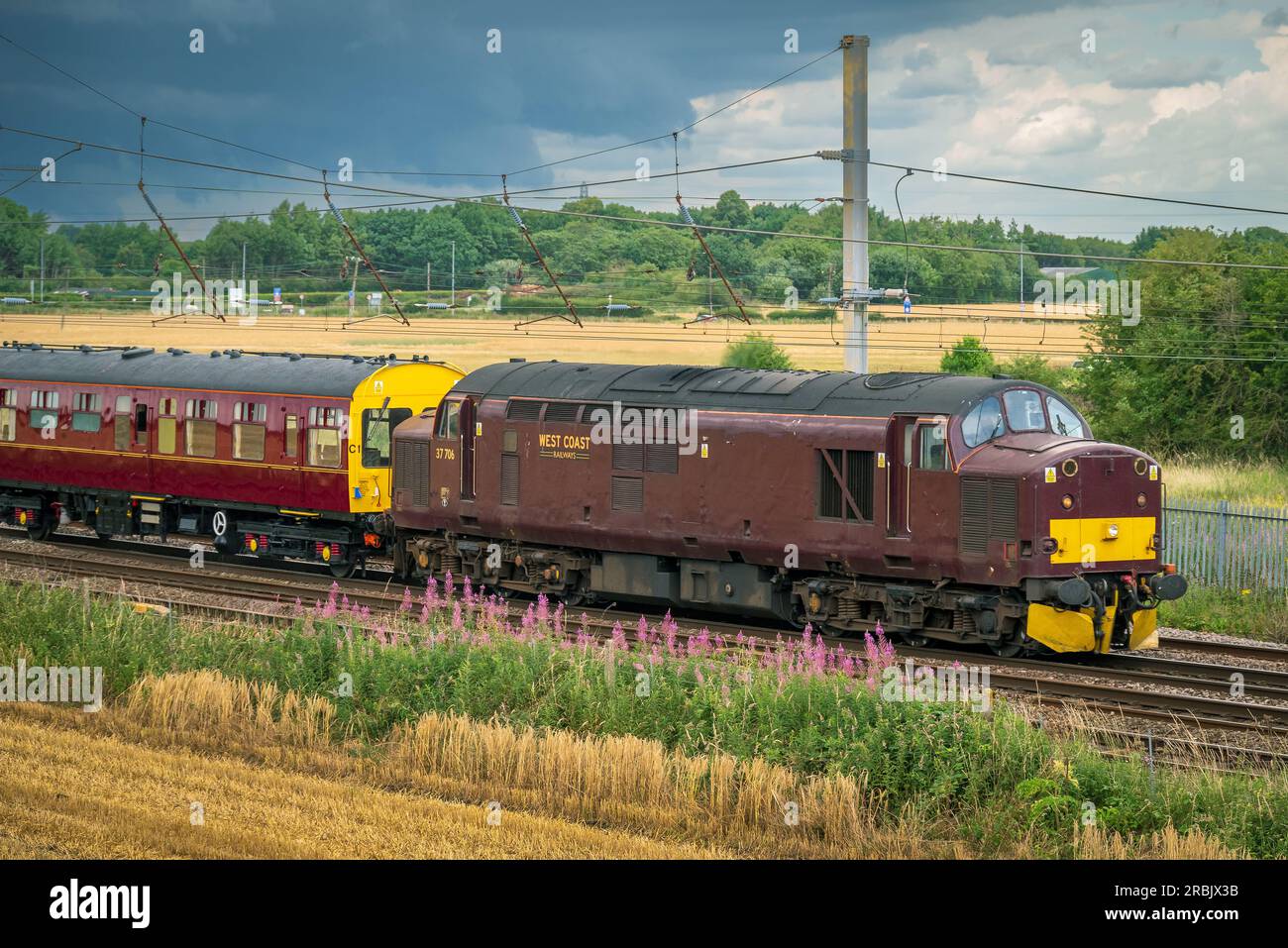 West Coast Railways classe 37 diesel 37706 passando Winwick sulla linea principale della West Coast in direzione sud. Foto Stock