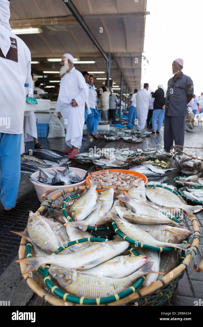 Emirati Arabi Uniti, Dubai, pesce in vendita al mercato ittico di Shindagha. Foto Stock