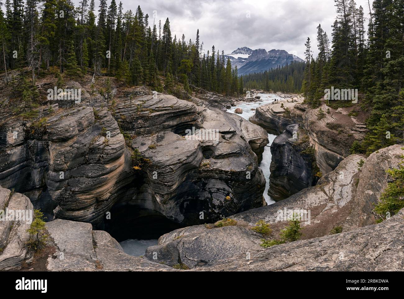 Il fiume Mistaya scorre attraverso il Mistaya Canyon nel Banff National Park, Alberta Canada Foto Stock