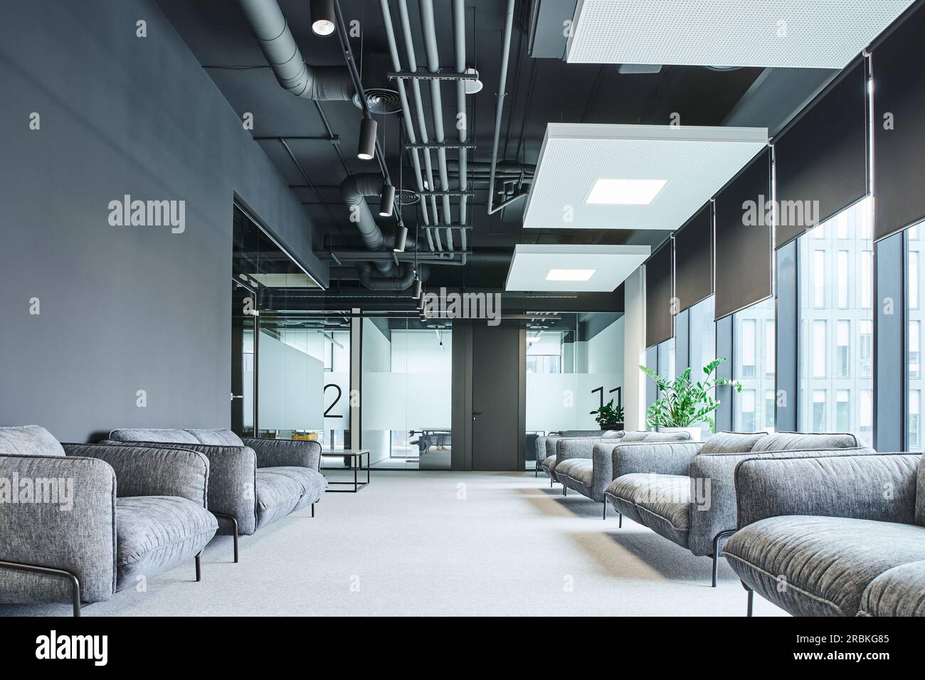 spaziosa area d'attesa con divani grigi e confortevoli, grandi finestre e piante verdi in un moderno ambiente di lavoro, organizzazione spazio di lavoro conce Foto Stock