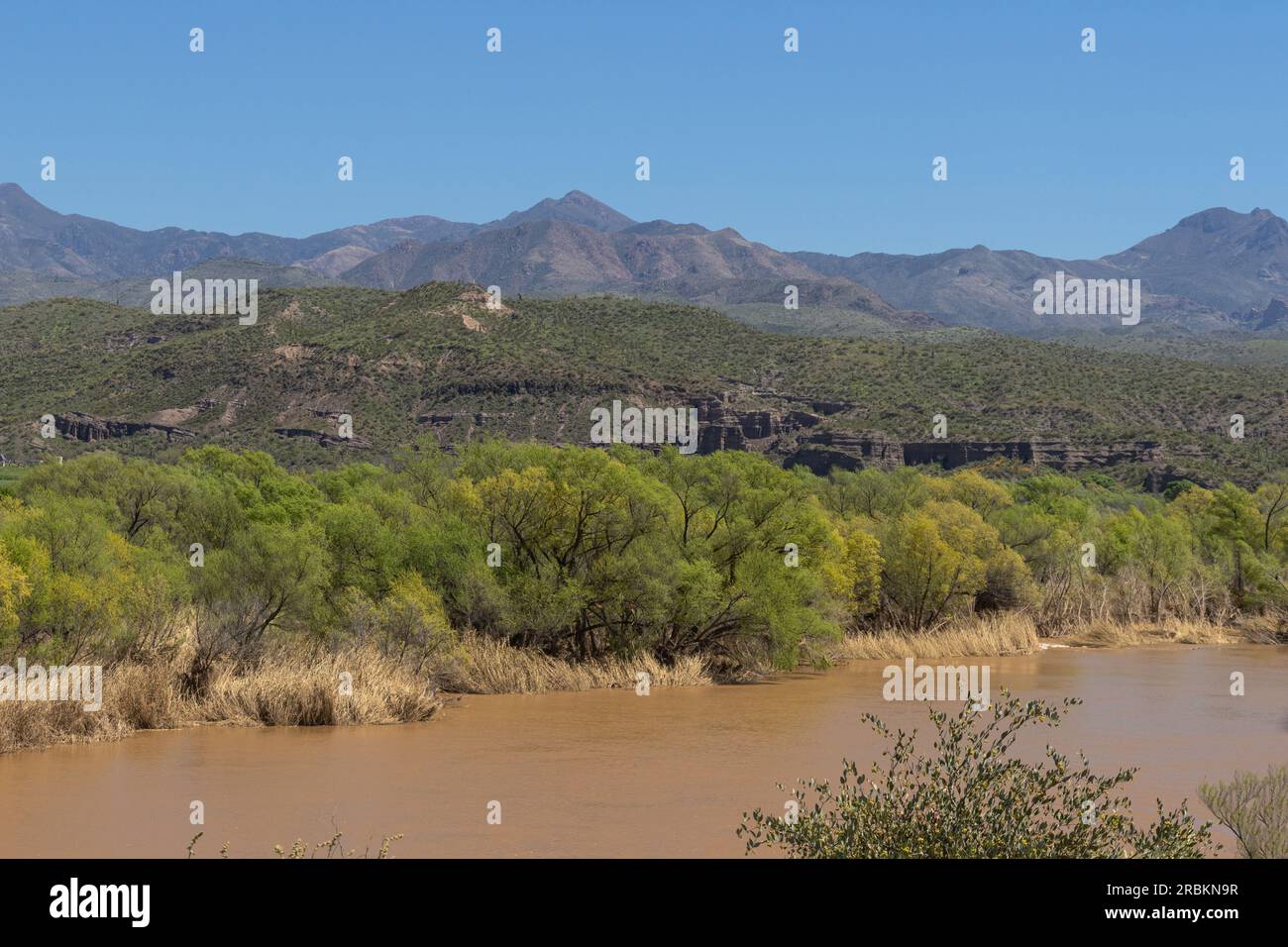 Fiume Verde, inondazioni dopo forti piogge, USA, Arizona, Sonora-Wueste, Cave Creek Foto Stock