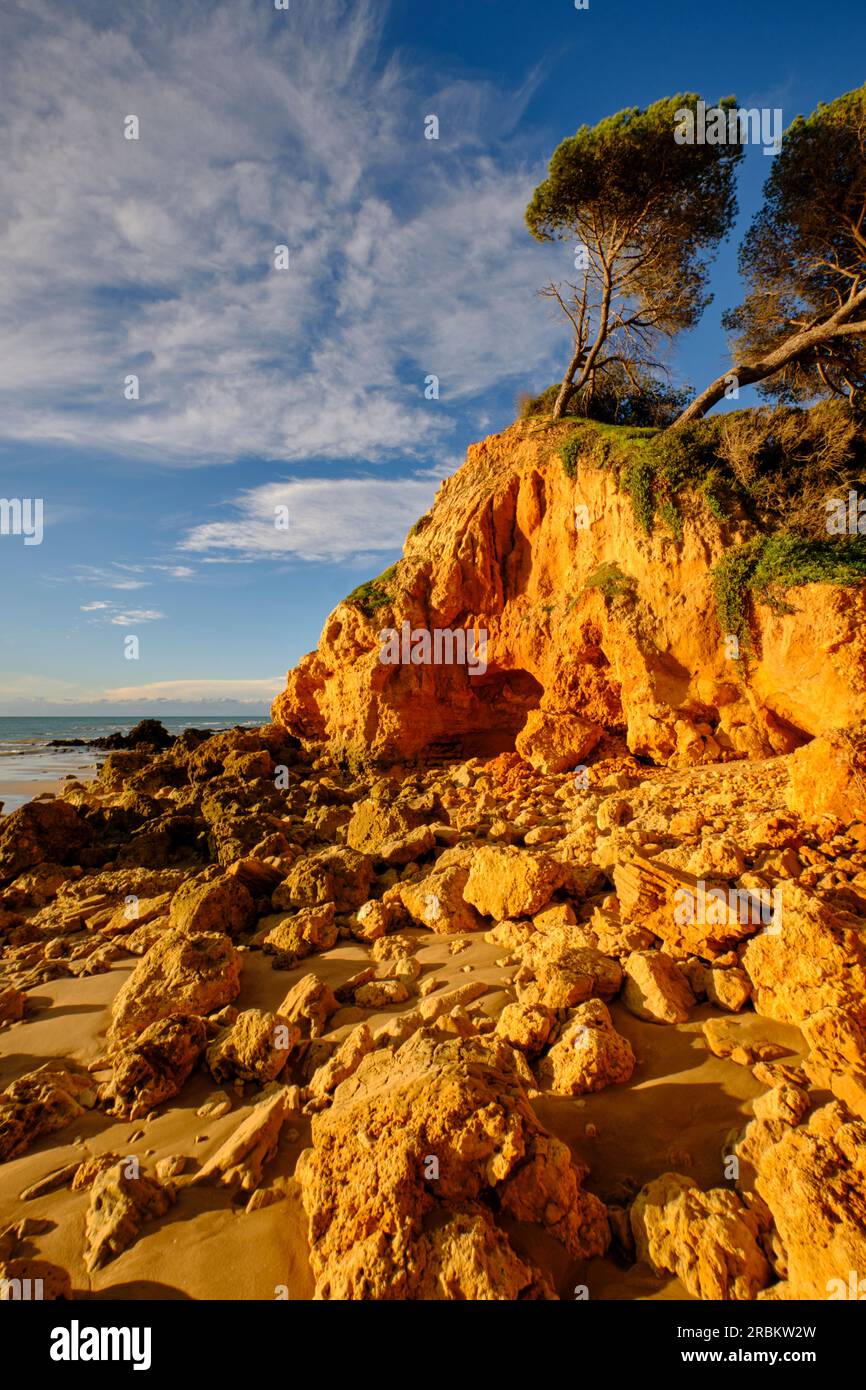 Alba sulla spiaggia dell'Oceano Atlantico dell'Algarve rocciosa vicino ad Albufeira, Algarve, Barlavento, Algarve occidentale, distretto di Faro, Portogallo, Europa Foto Stock