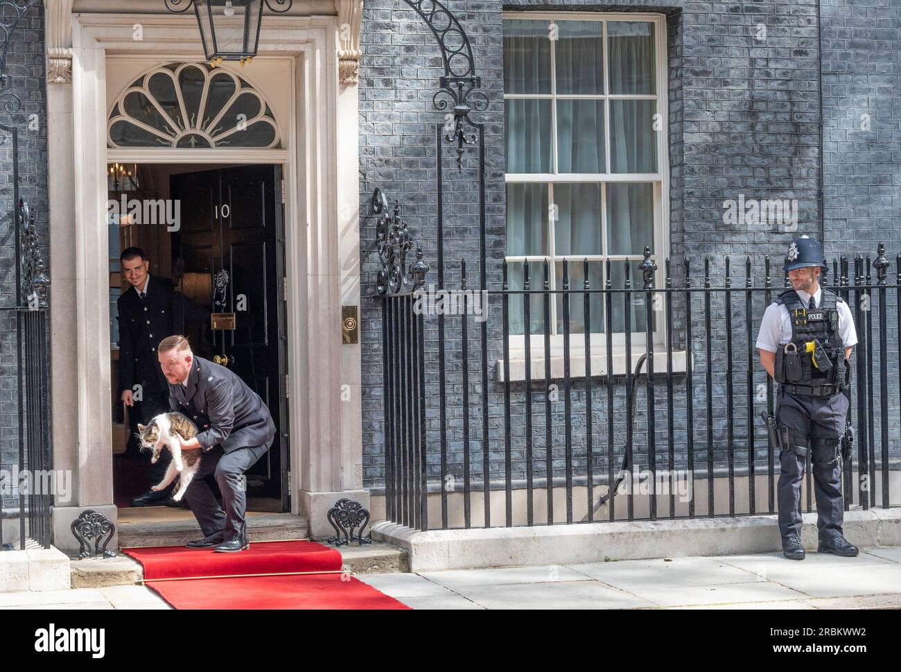 Londra, Regno Unito. 10 luglio 2023. Il presidente DEGLI STATI UNITI Joe Biden visita il primo ministro britannico Rishi Sunak per un incontro di 40 minuti al 10 di Downing Street. Larry il Downing Street Cat viene rimosso dal tappeto rosso poco prima del suo arrivo. Crediti: Phil Robinson/Alamy Live News Foto Stock