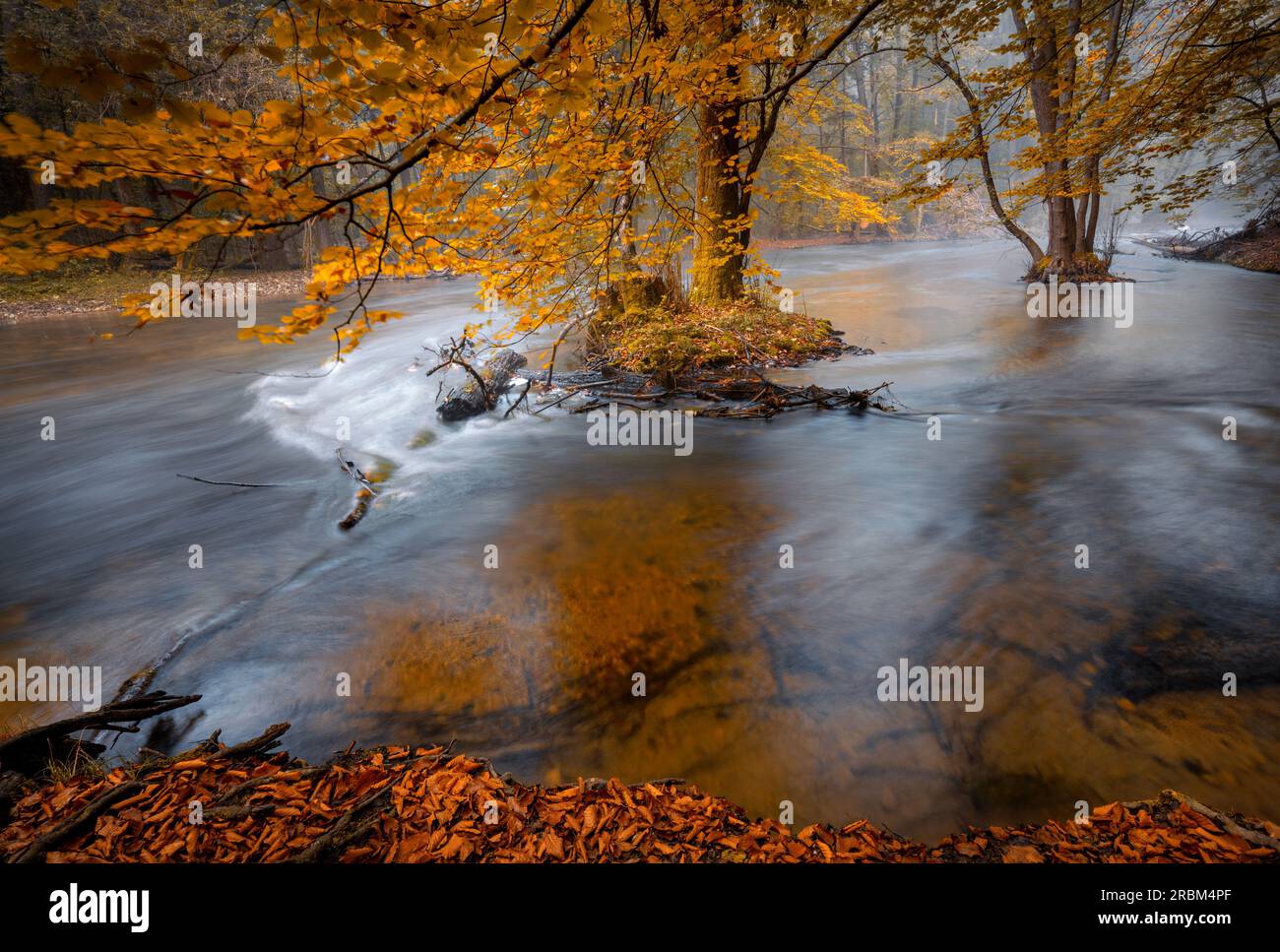 Autunno a Würm, Baviera, Germania Foto Stock