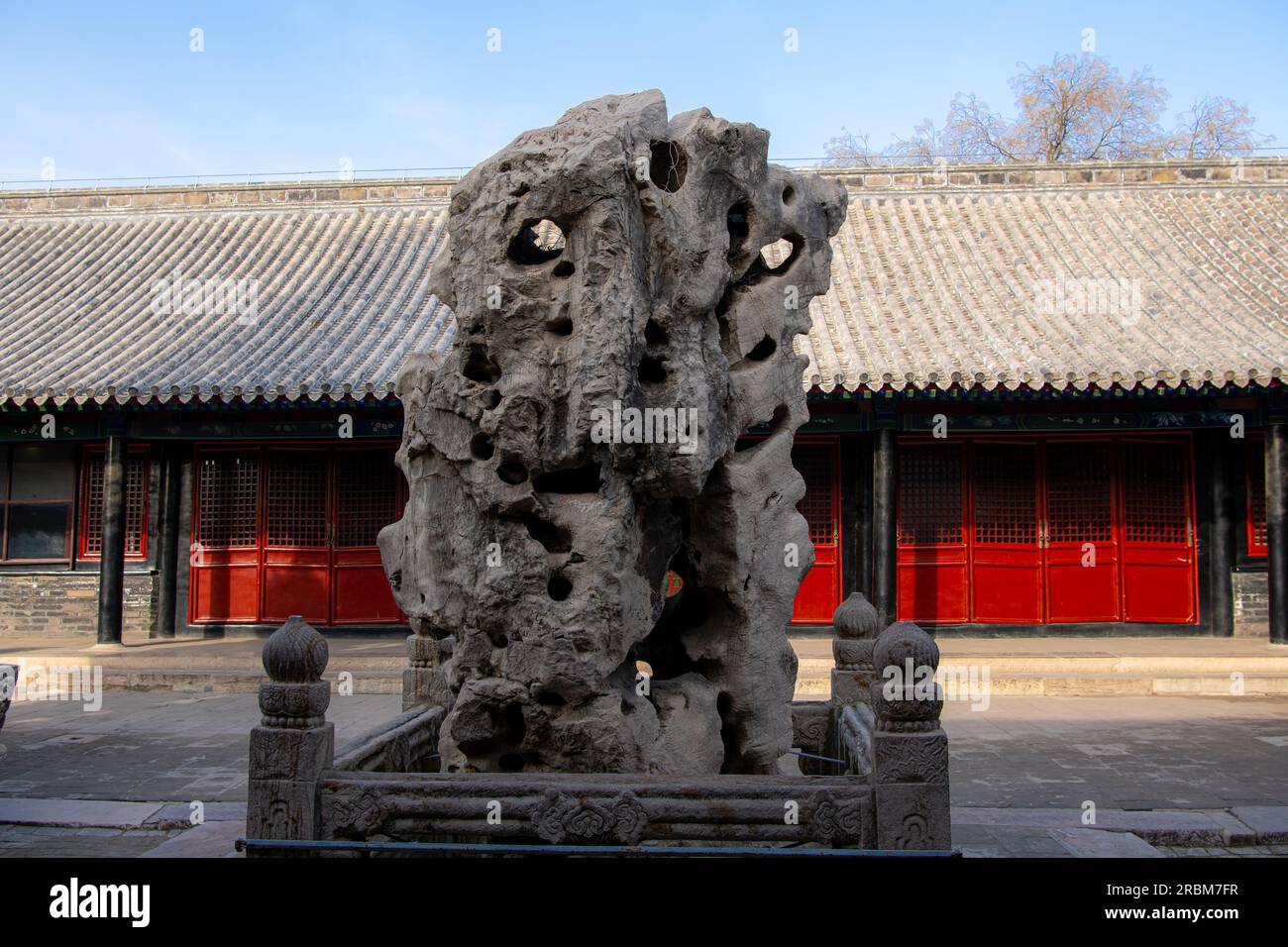 Resti di un antico cipresso e dell'unico grano di legno, il tempio di Confucio nella città di Qufu, nella provincia di Shandong in Cina. Foto Stock