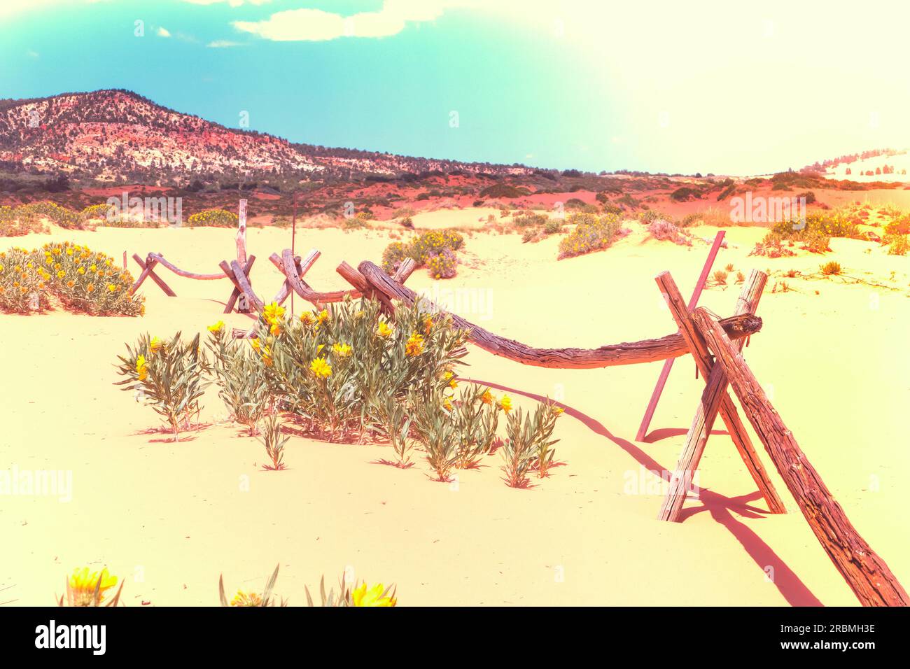 Coral Pink Sand Dunes Utah USA Foto Stock