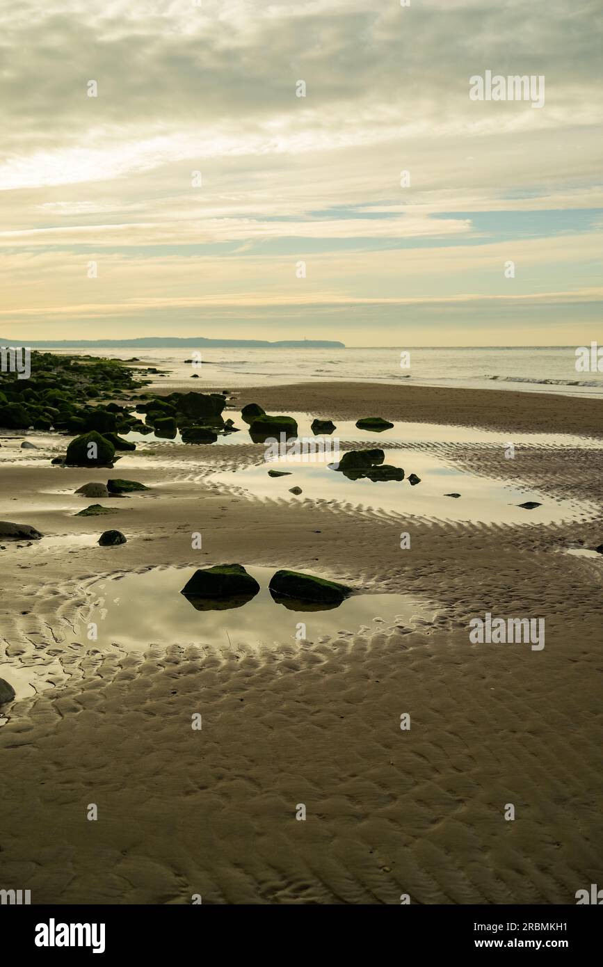 La spiaggia sulle scogliere di gesso di Cap Blanc Nez vicino a Escalles in Francia. Foto Stock