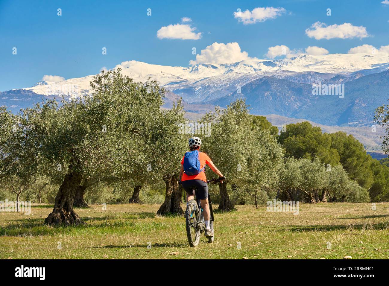 Bella donna anziana attiva che va in bicicletta con la sua mountain bike elettrica sotto le montagne innevate della Sierra Nevada spagnola, vicino a Granada, Andalus Foto Stock