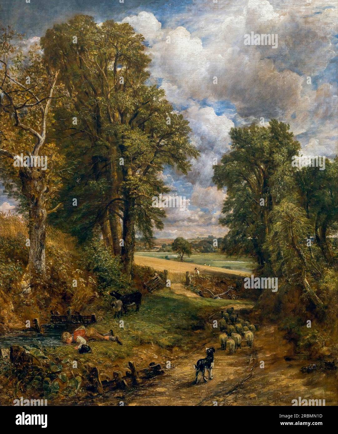 The Cornfield, John Constable, 1826, Foto Stock