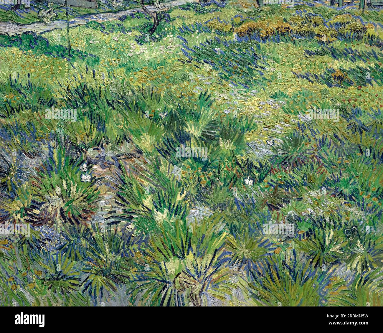 Erba lunga con farfalle, Vincent van Gogh, 1890, Foto Stock